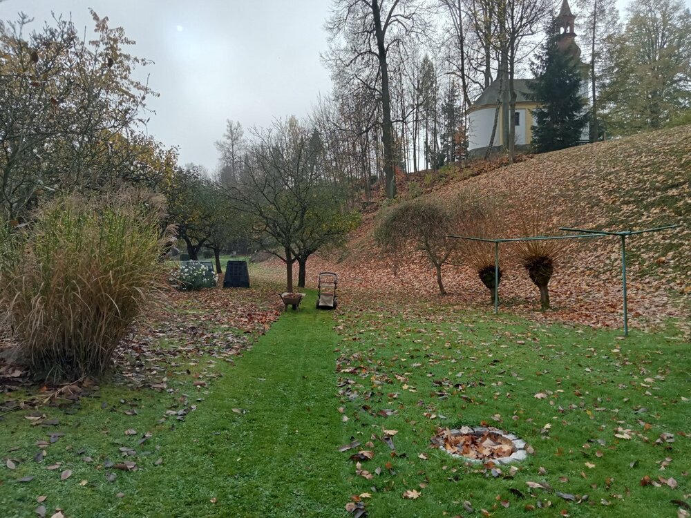 IMG20231111105103.jpg