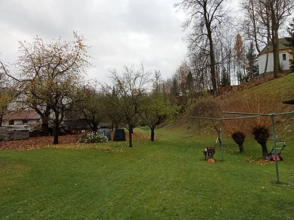 IMG20231117101408.jpg