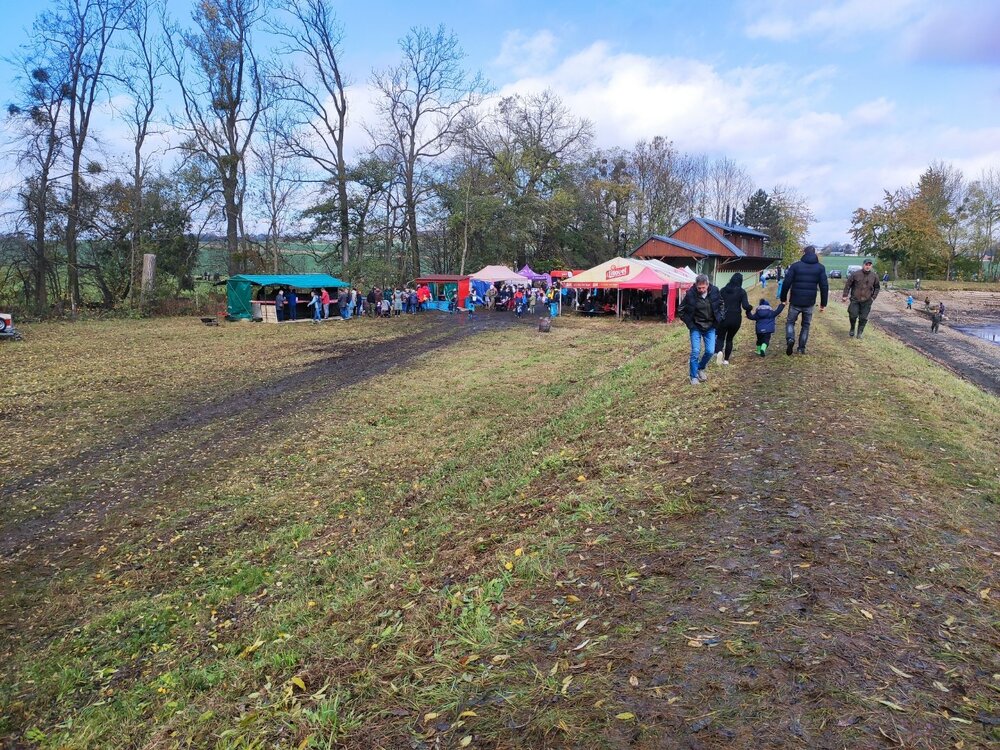 IMG_20231104_114322.jpg