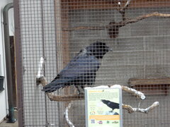DSCN4517.JPG