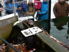 DSCN4518.JPG