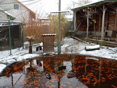 DSCN4521.JPG