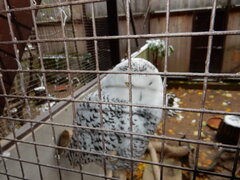 DSCN4523.JPG