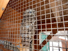 DSCN4525.JPG