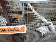 DSCN4527.JPG