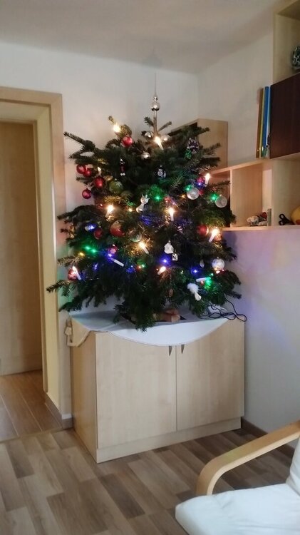 IMG-20231224-WA0001.jpeg