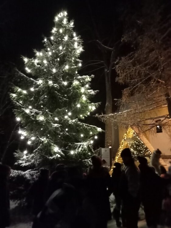 IMG20231201193031.jpg