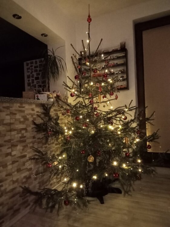 IMG20231223232134.jpg