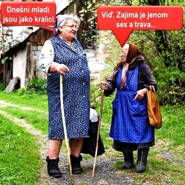 Obrázek WhatsApp, 2023-12-28 v 16.43.49_467e89b9.jpg