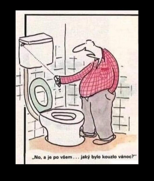 Obrázek WhatsApp, 2023-12-28 v 21.59.19_1c7fc00d.jpg