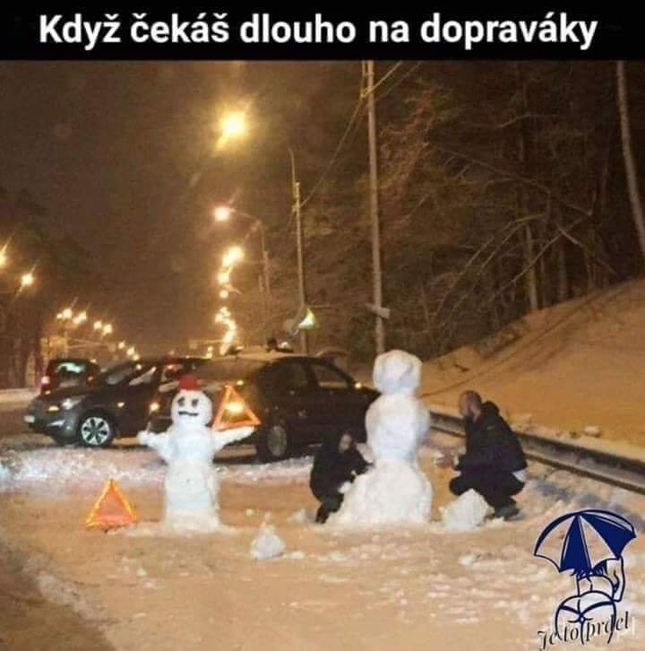 Snhulci.jpg.b3d1107c2aa20bcdd4d285db10b36425.jpg