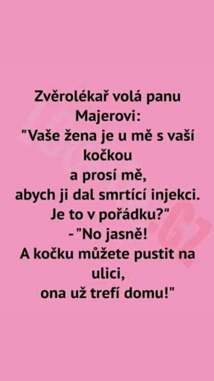 Obrázek WhatsApp, 2024-01-26 v 07.15.12_85433b1d.jpg