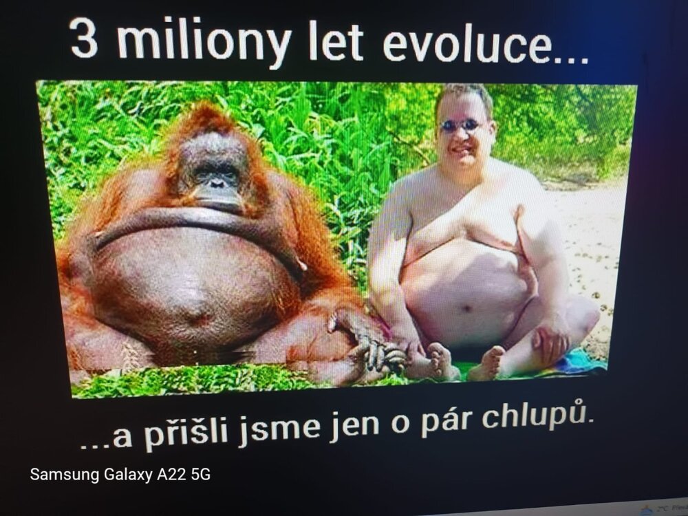 Evoluce.jpg