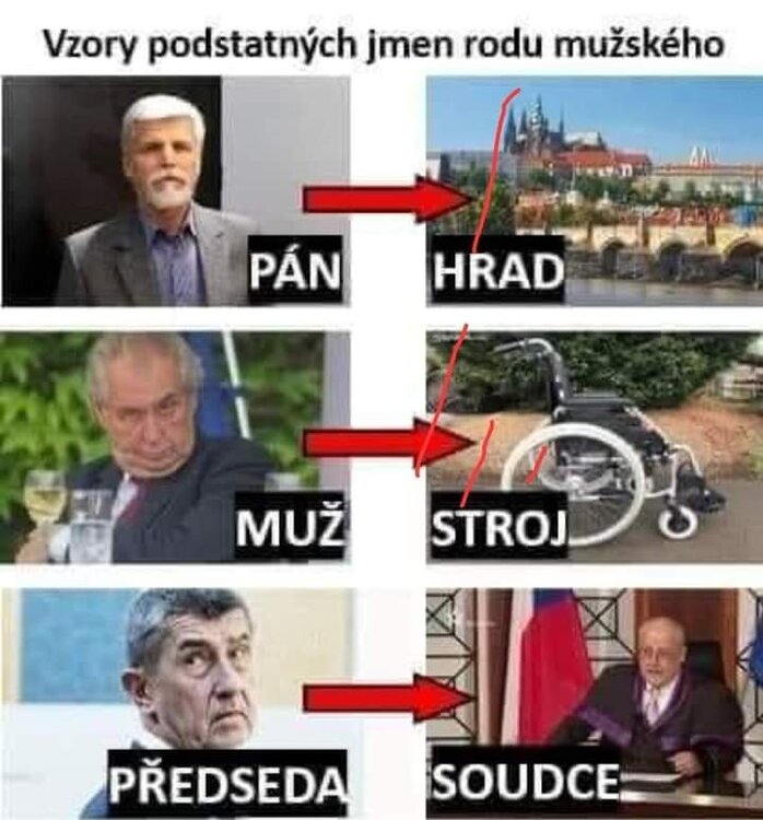 Obrázek WhatsApp, 2024-02-12 v 13.22.06_b0d8ca6e.jpg