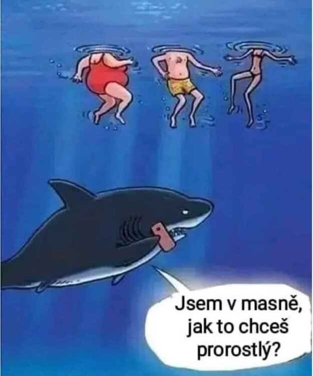 Obrázek WhatsApp, 2024-03-08 v 19.44.48_415e4d23.jpg