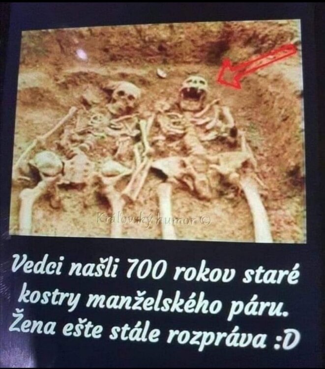 Obrázek WhatsApp, 2024-03-10 v 15.25.56_a7a8b6e6.jpg