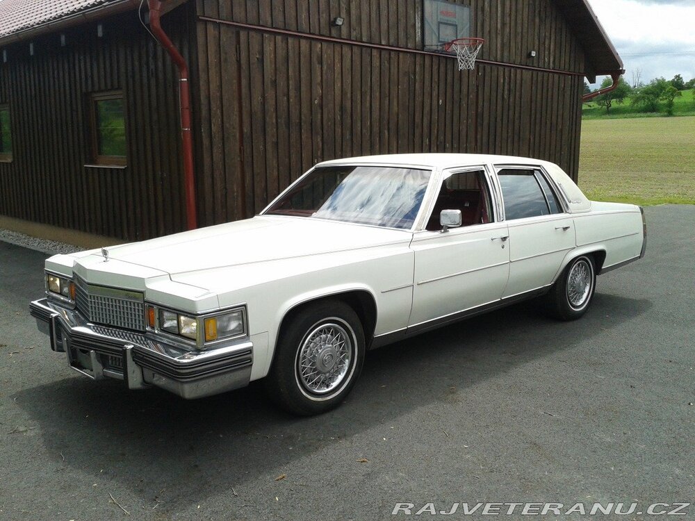 e1-cadillac-deville-fleetwood-brougham-1978.thumb.jpg.ba4b4101663a2c1db5fc441fdd505edd.jpg