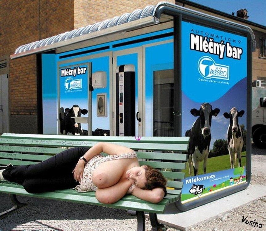 mlecny-bar.jpg