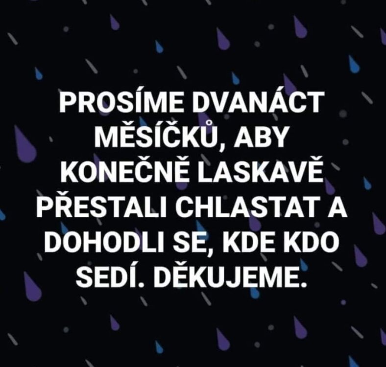2024-04-21 10.31.15.jpg