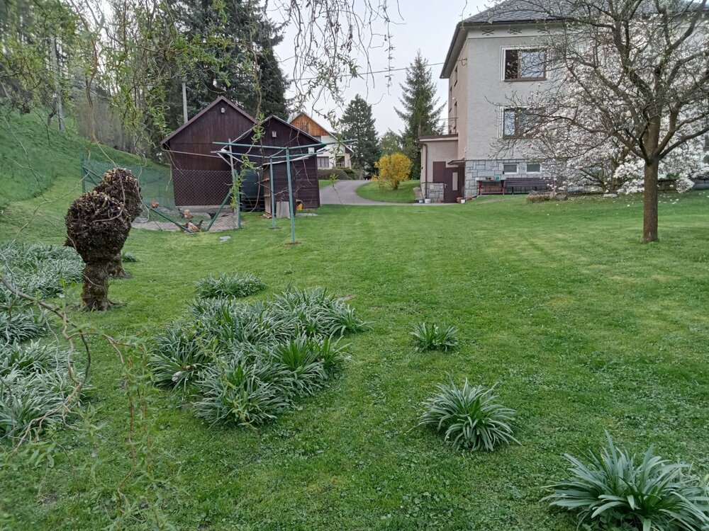 IMG20240408185805.jpg