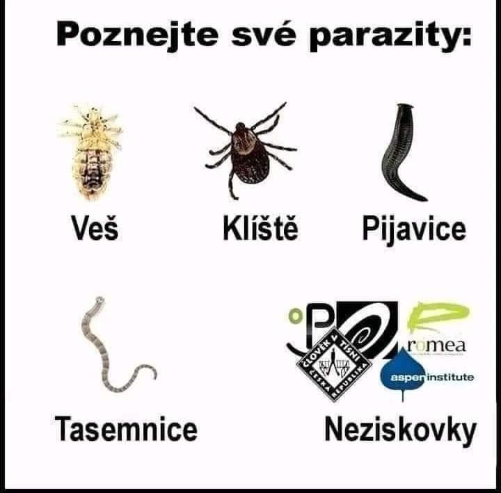 2024-05-05 20.32.04.jpg