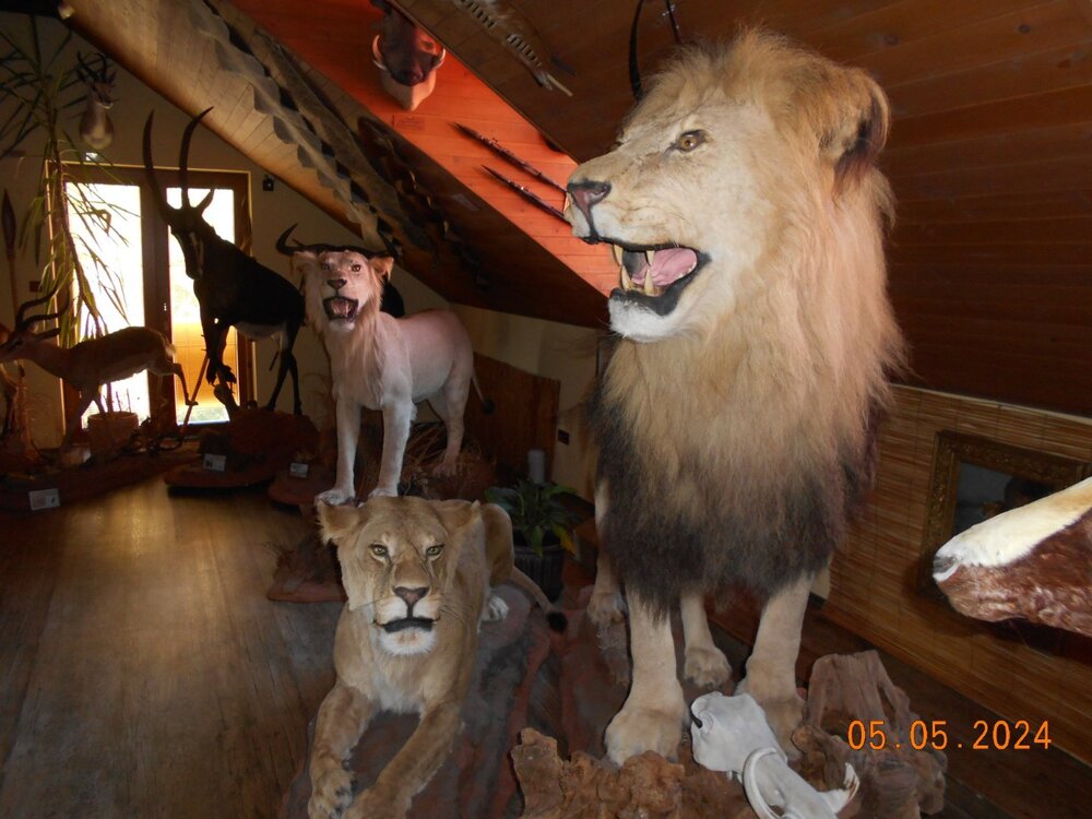 DSCN4507.JPG
