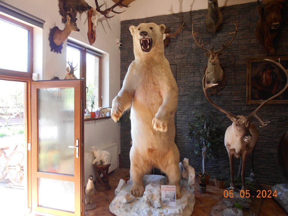DSCN4519.JPG