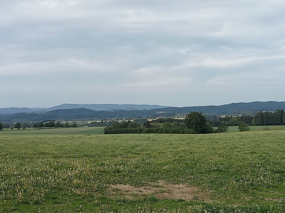 IMG20240508093202.jpg