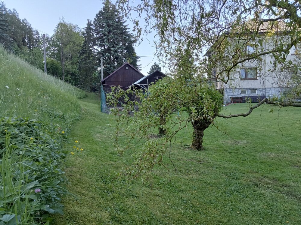 IMG20240520181509.jpg