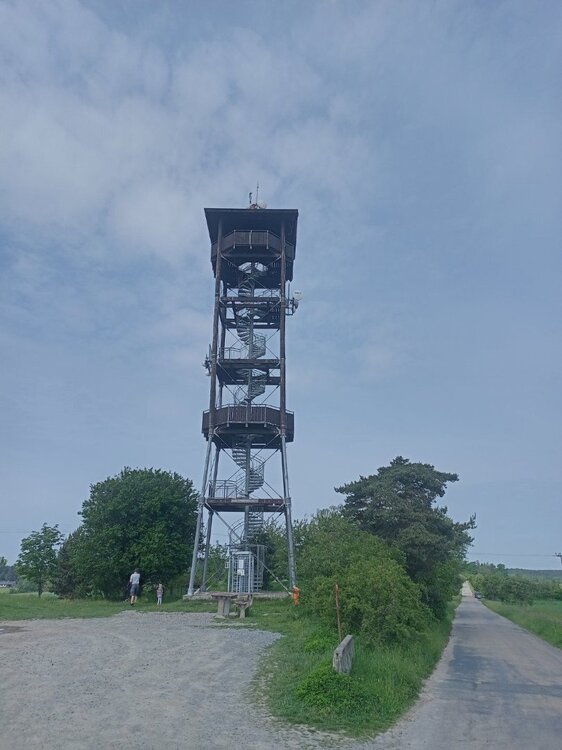 M1.jpg
