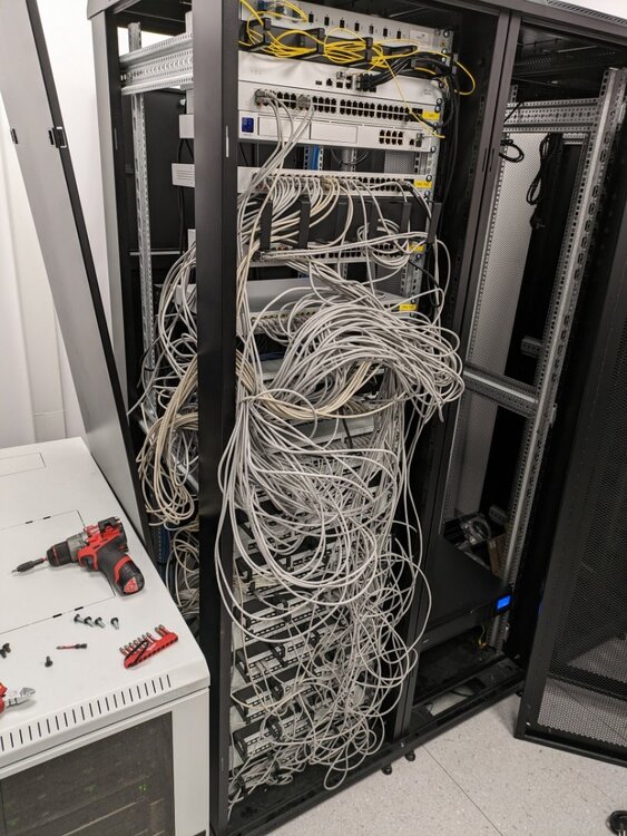 PXL_20240511_064509946.jpg