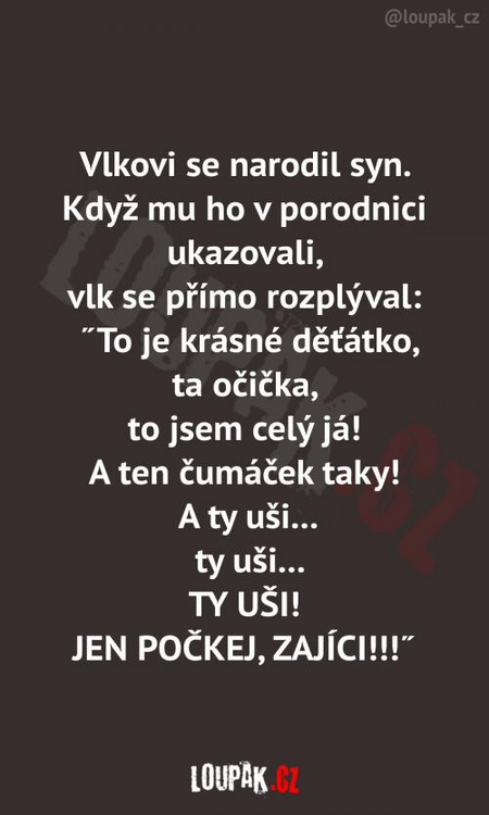 image.thumb.png.db5cd158f57f725ae9cad0eab9d30ce7.png