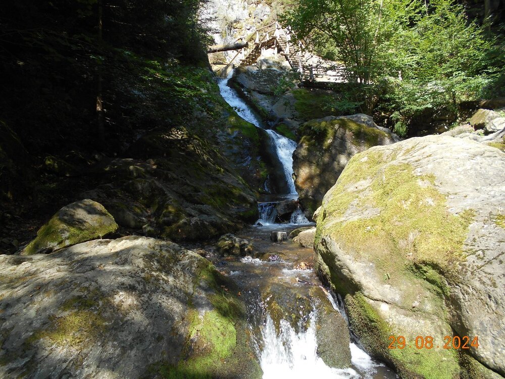 DSCN0049.JPG
