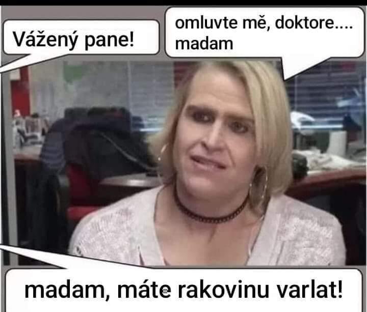 Obrázek WhatsApp, 2024-08-06 v 19.52.49_2a15b98d.jpg