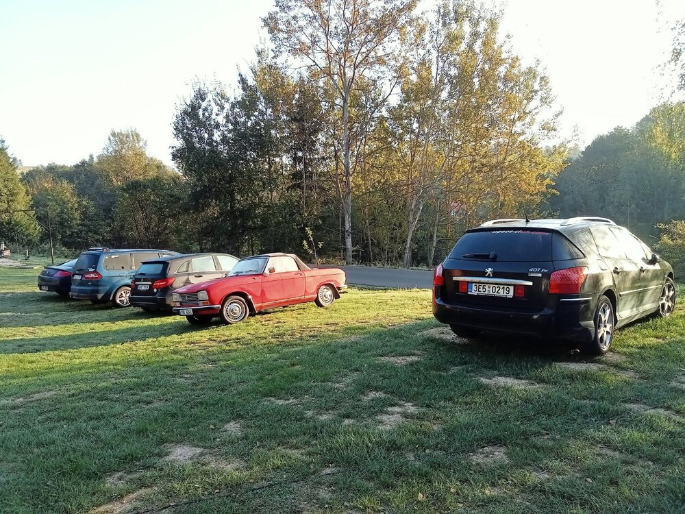 IMG20240921074117.jpg