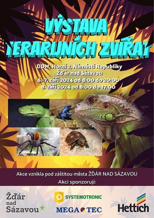 výstava.jpg