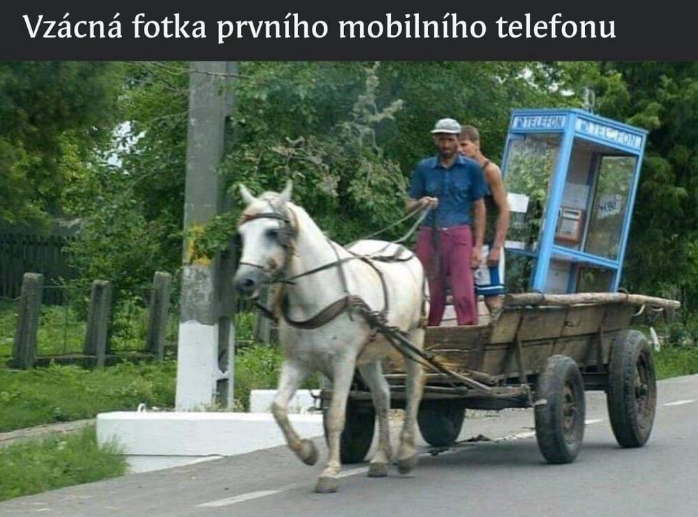 2024-10-11 08.35.39.jpg