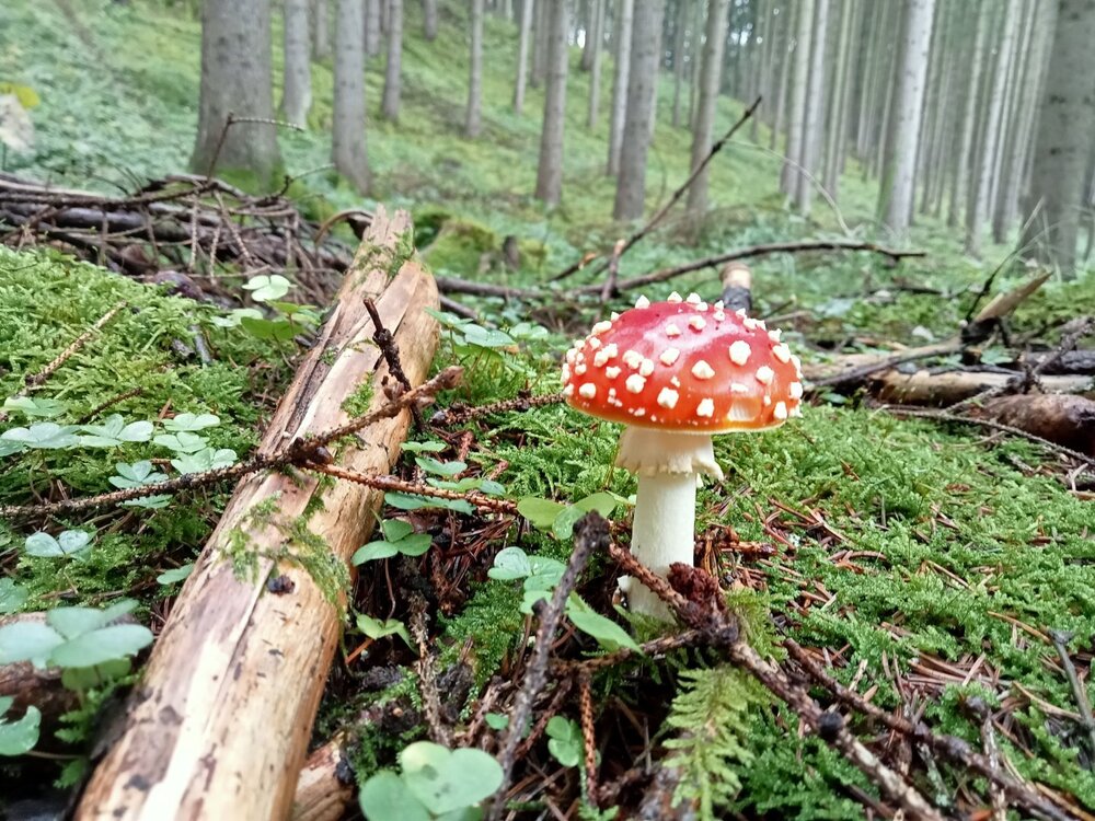 IMG20241006091937.jpg