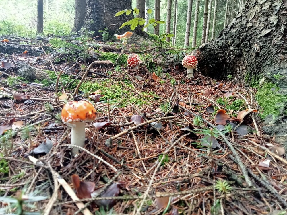 IMG20241006094422.jpg