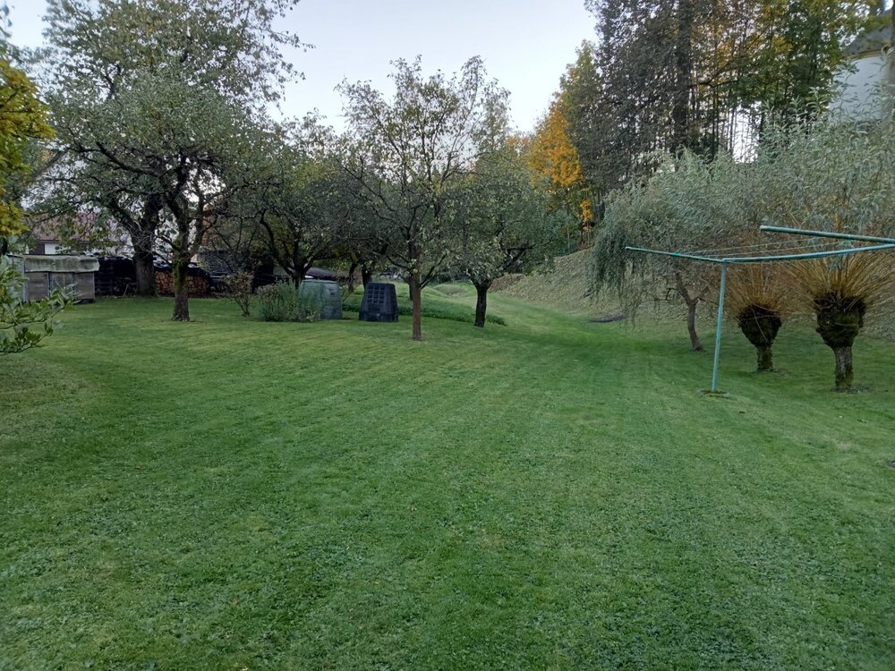 IMG20241015173828.jpg