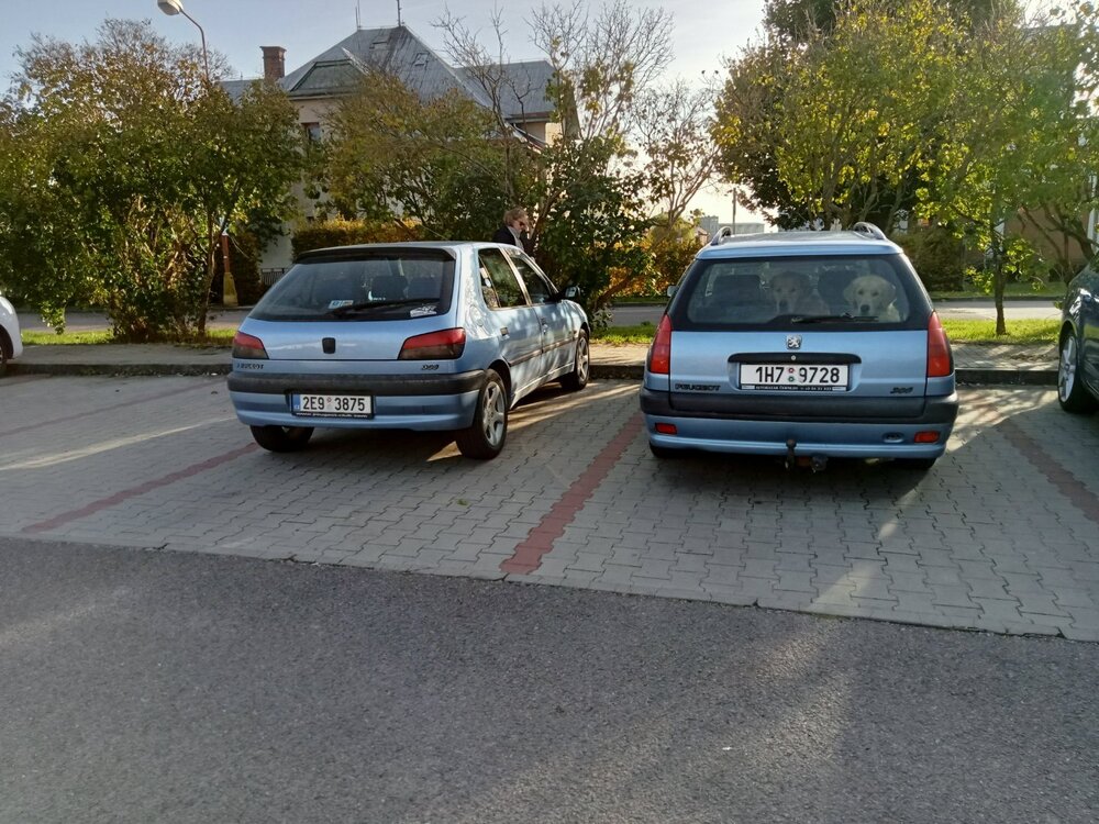 IMG20241018154748.jpg