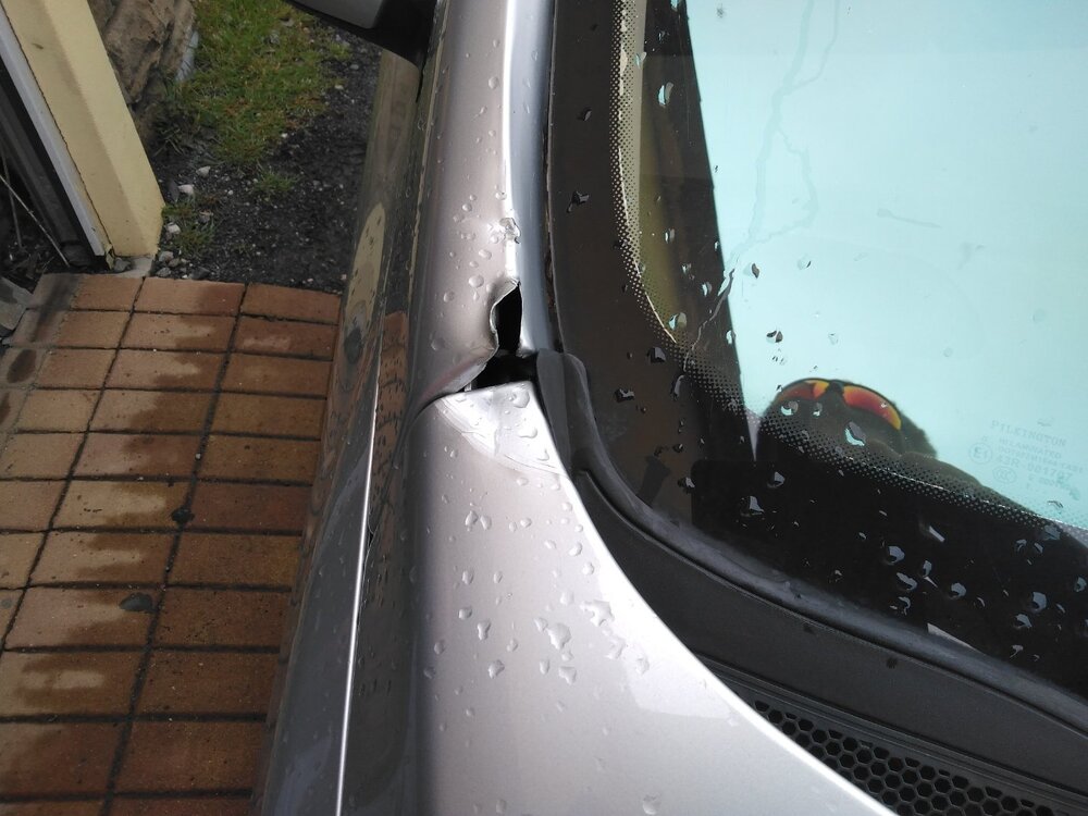 IMG_20230402_125609.jpg