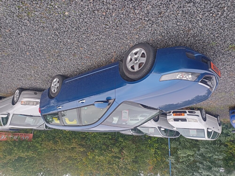 IMG_20241012_110555.jpg