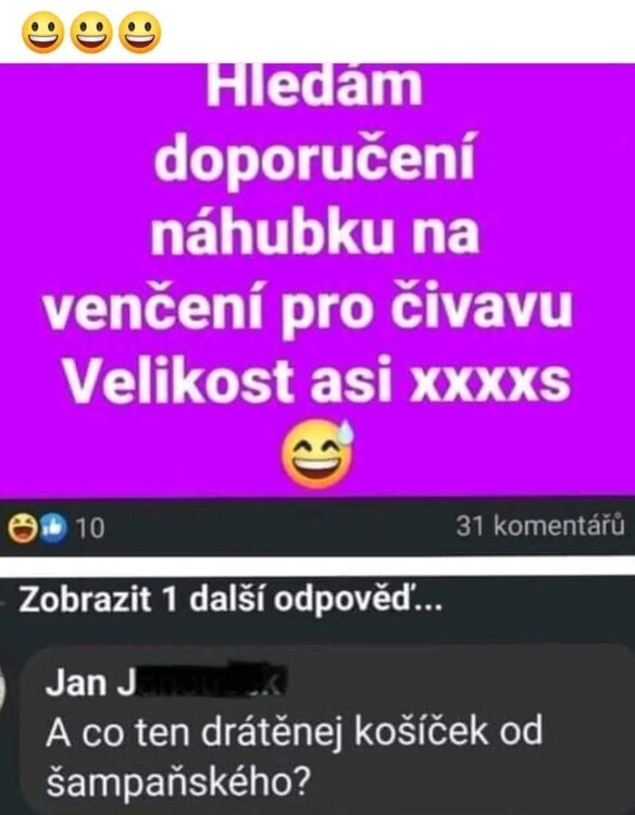 2024-11-12 19.35.44.jpg