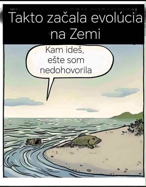 2024-11-19 17.50.33.jpg