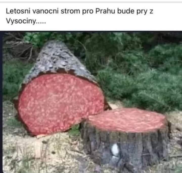 2024-11-26 18.15.32.jpg