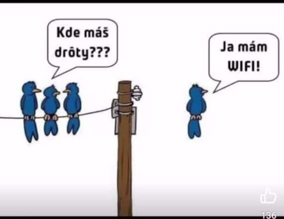 Obrázek WhatsApp, 2024-11-07 v 20.42.39_e0fcb14d.jpg