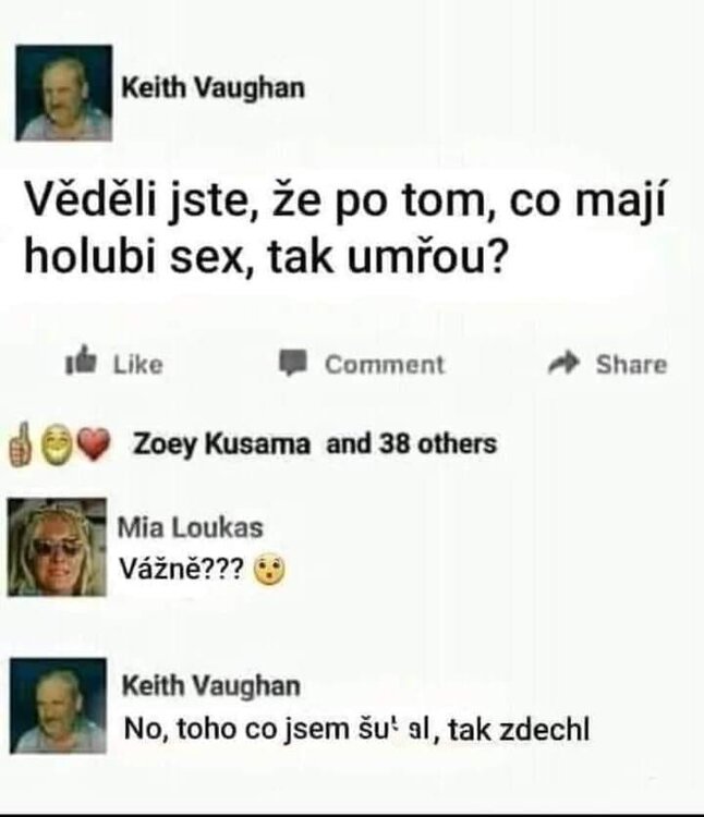 holub.jpg