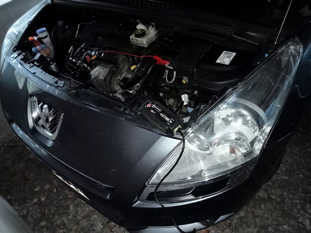 IMG20241225095204.jpg