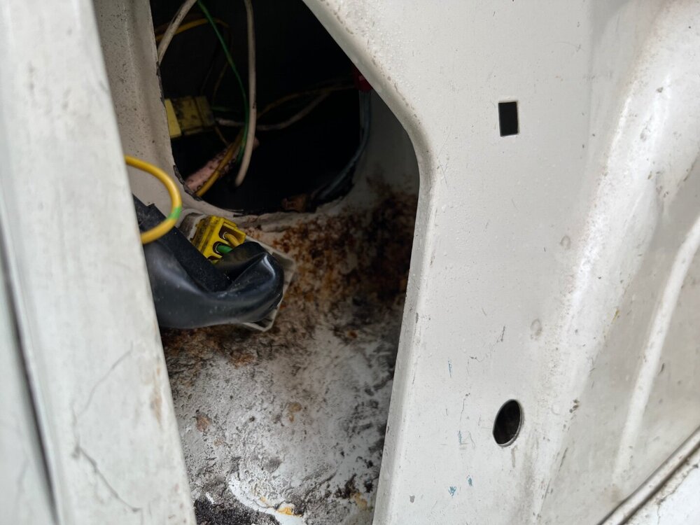IMG_0300.jpeg